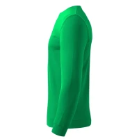 SPRING, Sweatshirt mit Rundhalsausschnitt, 280 g/m2, Grasgrün