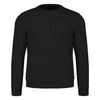 TERRY MEN, Sweatshirt mit Rundhalsausschnitt, 280 g/m2, Schwarz