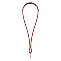 NET 65W, type-c charging and data cable and lanyard, 65 w, red