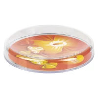 SLOT, Bezahlteller, Transparent