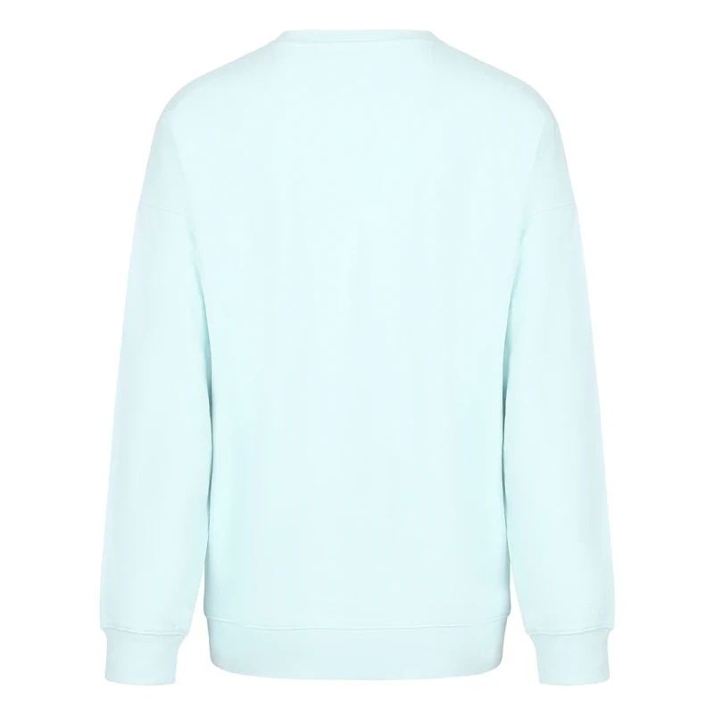BIG, Weites Sweatshirt aus Bio-Baumwolle, 300 g/m2, Mint