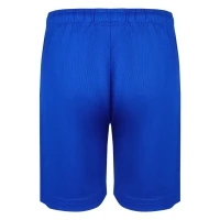SPORTY, Sport-Shorts für Herren, 140 g/m2, Königsblau