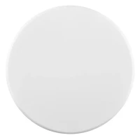 MAGNET COIN, Magnet, Weiss