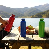 FLOW RPET, water bottle, 500 ml, black
