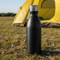 NECTAR, Trinkflasche, 650 ml, Gun