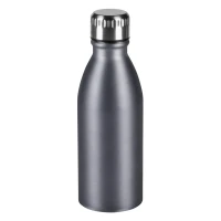 NECTAR, water bottle, 650 ml, silver