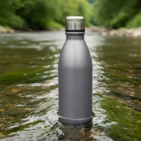 NECTAR, water bottle, 650 ml, silver