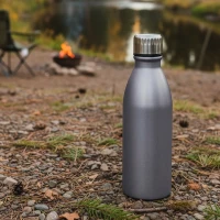 NECTAR, water bottle, 650 ml, silver