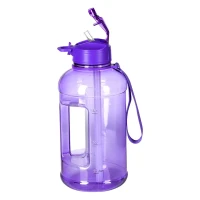 BUFFALO, Trinkflasche, 1200 ml, Violett