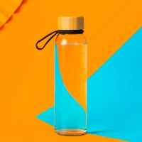 METEOR, Trinkflasche, 500 ml, Transparent