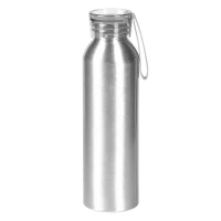 TARA, water bottle, 650 ml, silver