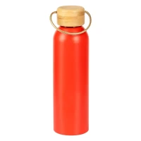 SAVA, Trinkflasche, 650 ml, Rot