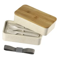 MISO, Lunchbox mit Besteck, 2 x 500 ml, Grau