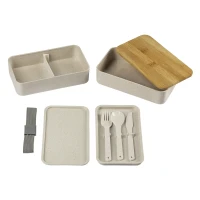 MISO, Lunchbox mit Besteck, 2 x 500 ml, Grau