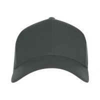 SPOTTER, cap, 6 panels, rubber back closure, dark gray