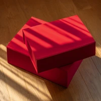 FRIDA, Selbstfaltende Geschenkbox mit Magnet, Rot
