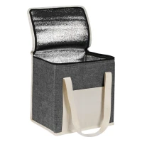 SUNDAY, Kühltasche, Grau