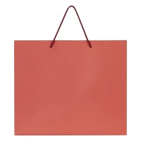 IRIS, paper bag, 170 g/m2, red
