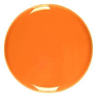 JOY, frisbee, orange