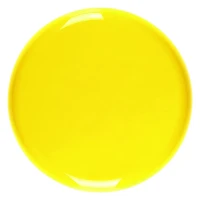JOY, frisbee, yellow