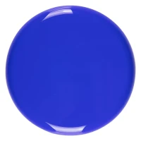 JOY, frisbee, blue