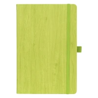 PINO, a5 notebook, kiwi