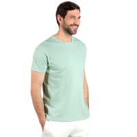 TERRA MEN, organic combed cotton t-shirt, 150 g/m2, pastel green