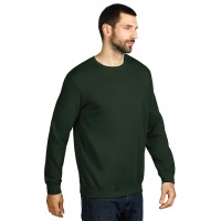 SPRING, unisex sweatshirt, round neck, green