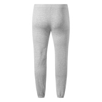SPIRIT MEN, men's jogging pants, ash