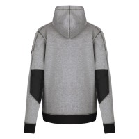 ARGON, hooded sweatshirt, ash