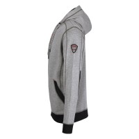 ARGON, hooded sweatshirt, ash