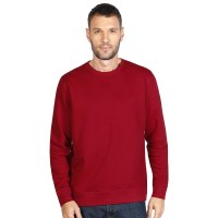 ABSOLUT, organic cotton sweatshirt, 280 g/m2, red