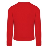 TERRY MEN, crewneck sweatshirt, 280 g/m2, red