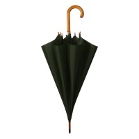 CLASSIC, umbrella with automatic opening, green