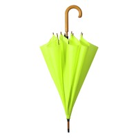 CLASSIC, umbrella with automatic opening, kiwi