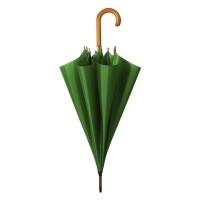 CLASSIC, umbrella with automatic opening, kelly green