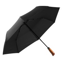 FRANKLIN,  foldable windproof umbrella with auto open/close function, black