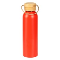 SAVA, water bottle, 650 ml, red