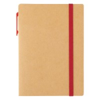 OZONE, note set, red