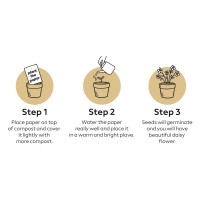 BIO, note set, white