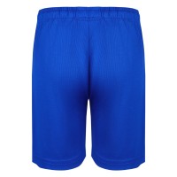 SPORTY, men's sports shorts, royal blue