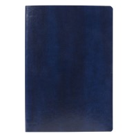 ALAMO, a5 notebook, blue