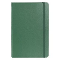 HELSINKI NOTE, a5 notebook, kelly green