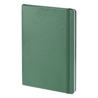 HELSINKI NOTE, a5 notebook, kelly green