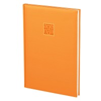 VENTURA, b5 agenda, orange