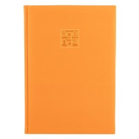 VENTURA, b5 agenda, orange