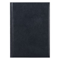 BUSINESS, b5 agenda, blue