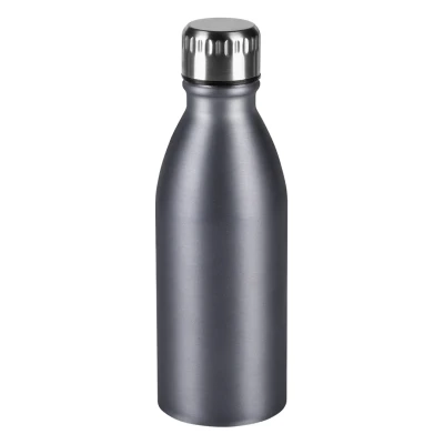 NECTAR, water bottle, 650 ml, silver