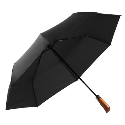 FRANKLIN,  foldable windproof umbrella with auto open/close function, black