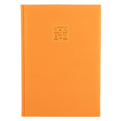 VENTURA, b5 agenda, orange